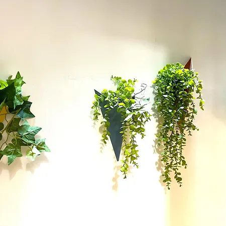 Flex Ortakoy Стамбул