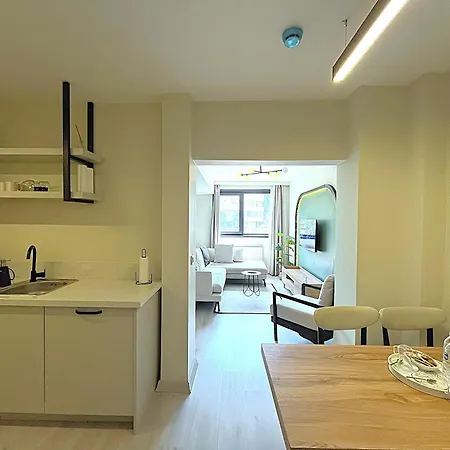 Flex Ortakoy Isztambul