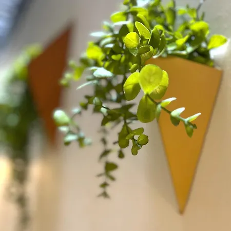 Apartman Flex Ortakoy *