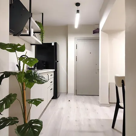 Flex Ortakoy 伊斯坦布尔