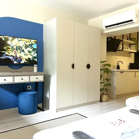 Flex Ortakoy